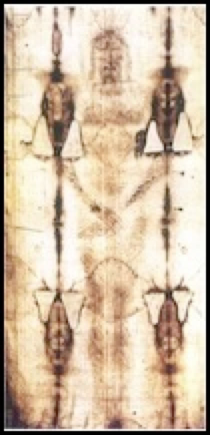 linceuil